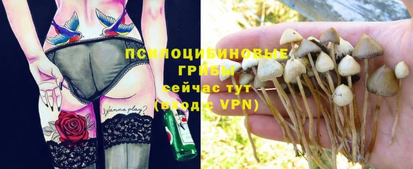 меф Сафоново